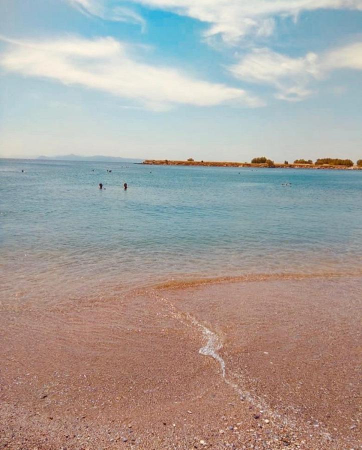 Modern Apt In Glyfada A Breath Away From The Sea - The View أثينا المظهر الخارجي الصورة